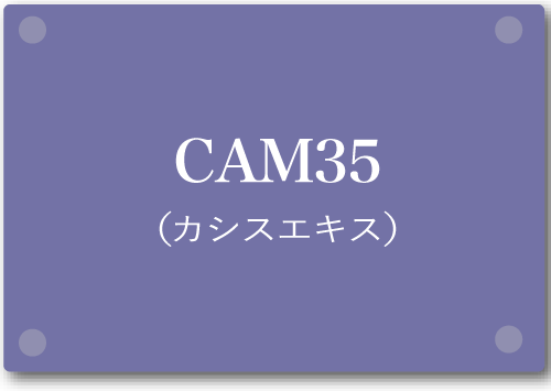 CAM35(カシスエキス)